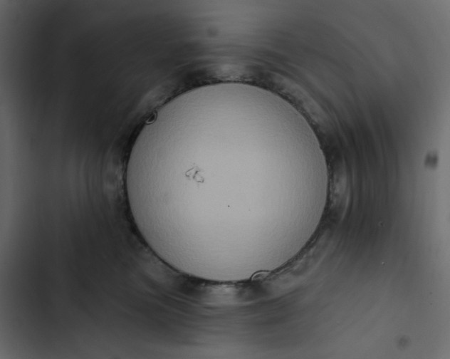 X0000102830473200809021317