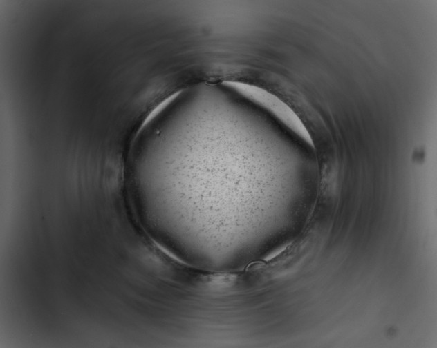 X0000102830474200809021317