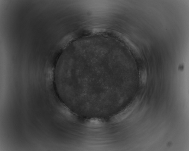 X0000102830475200809021317