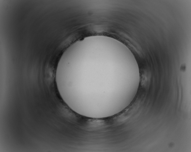 X0000102830476200809021317