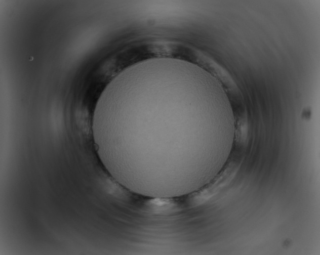 X0000102830477200809021317