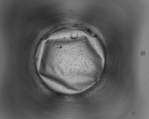 X0000102830481200809021317