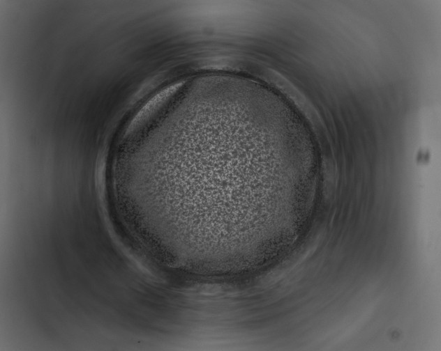 X0000102830482200809021317