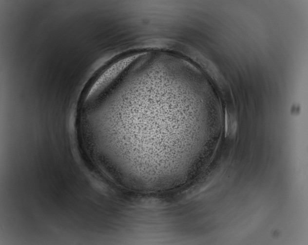 X0000102830483200809021317