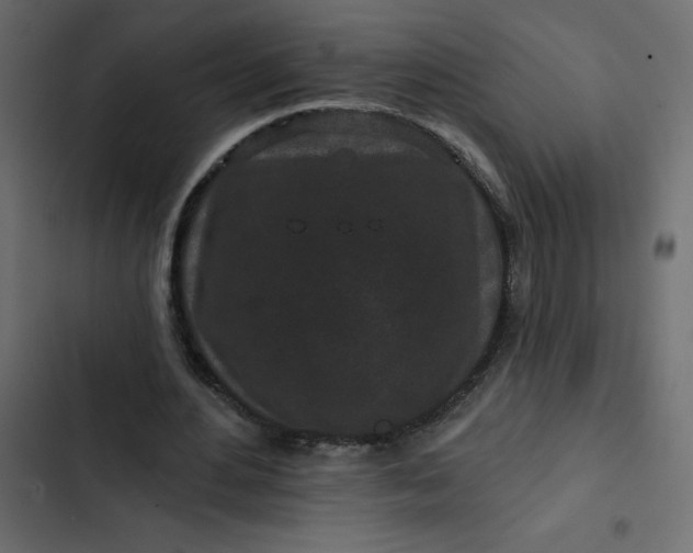 X0000102830484200809021317