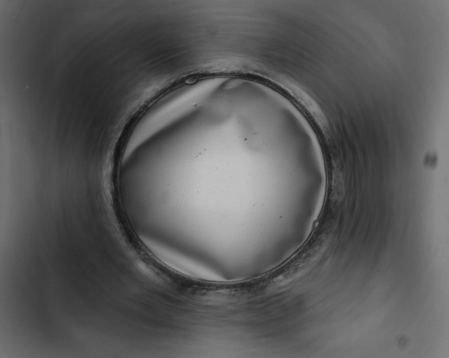 X0000102830485200809021317