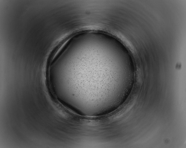 X0000102830486200809021317