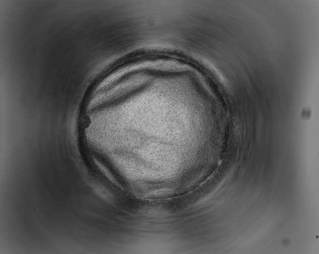 X0000102830487200809021317