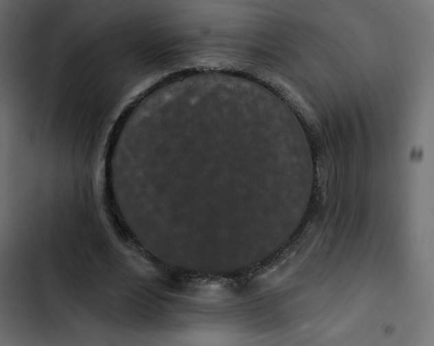 X0000102830488200809021317