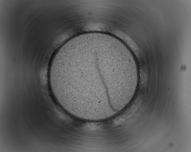 X0000102830489200809021317