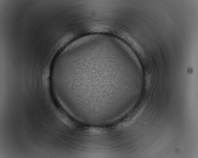 X0000102830490200809021317