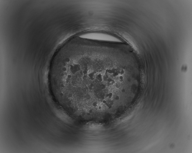 X0000102830491200809021317