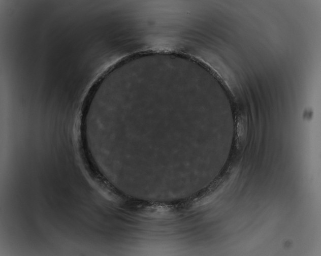 X0000102830492200809021317