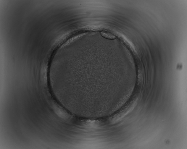 X0000102830493200809021317