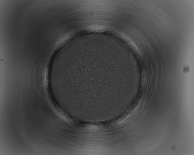 X0000102830494200809021317