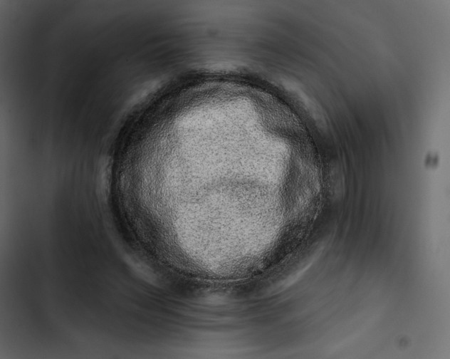 X0000102830495200809021317