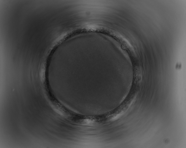 X0000102830496200809021317