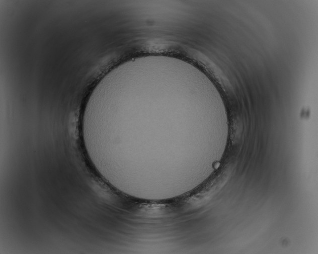 X0000102830497200809021317