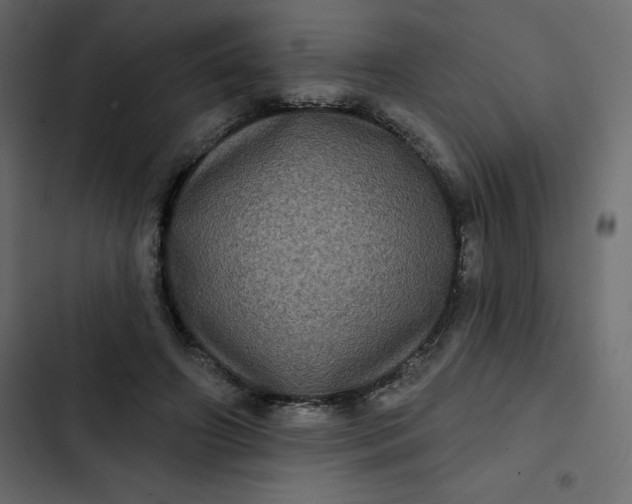 X0000102830498200809021317