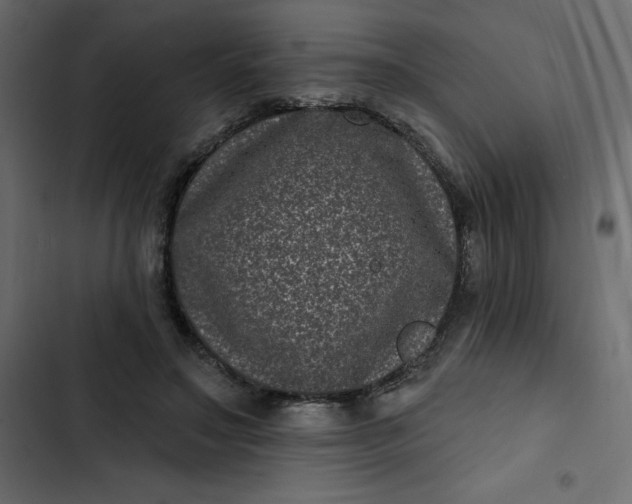 X0000102830499200809021317