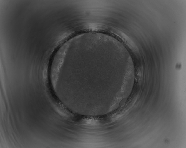 X0000102830500200809021317