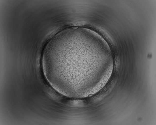 X0000102830501200809021317