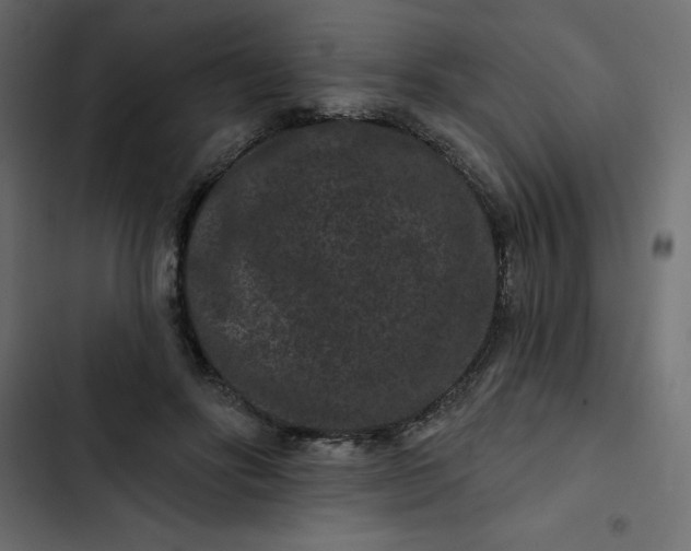 X0000102830502200809021317