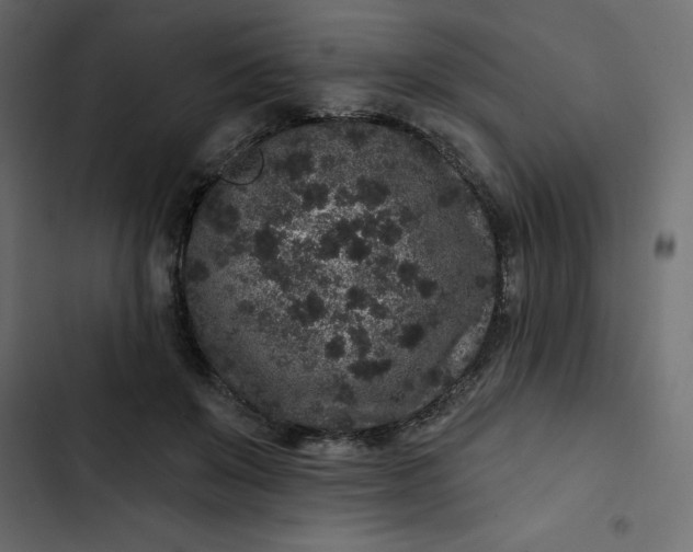 X0000102830503200809021317