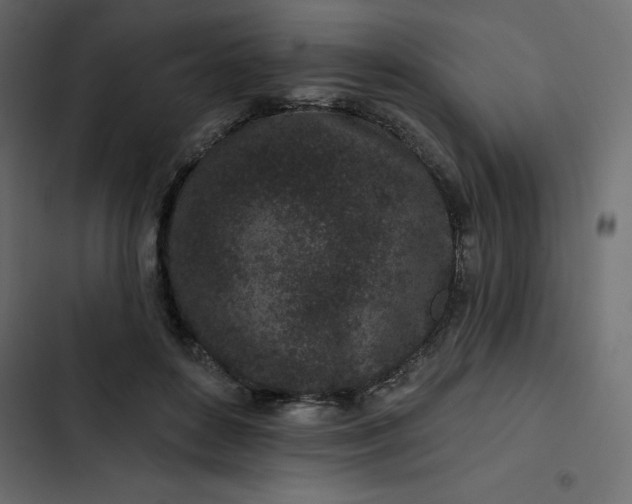 X0000102830504200809021317