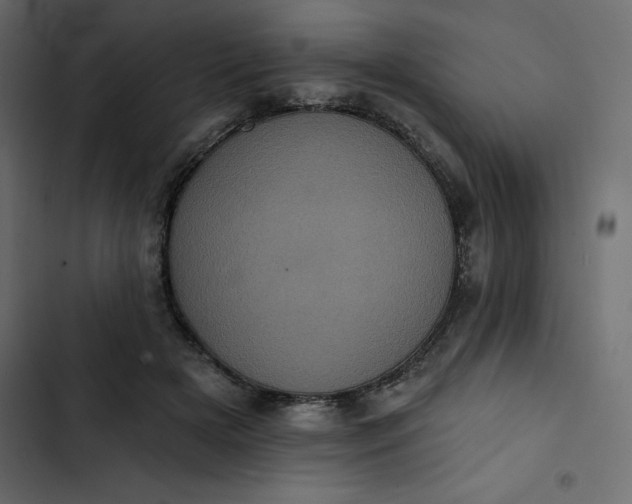 X0000102830505200809021316