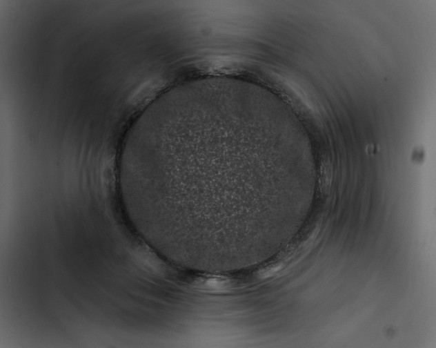 X0000102830506200809021316