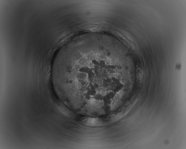 X0000102830507200809021316