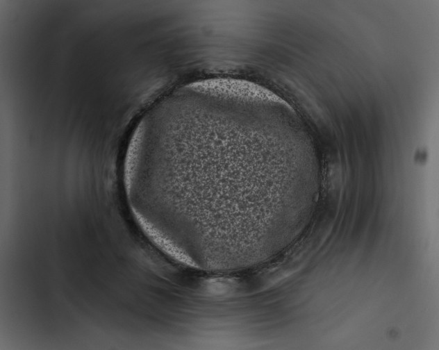 X0000102830508200809021316