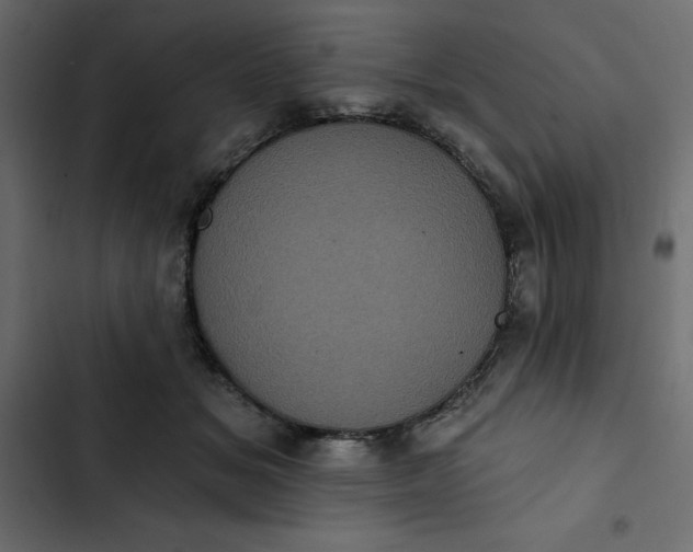 X0000102830509200809021316