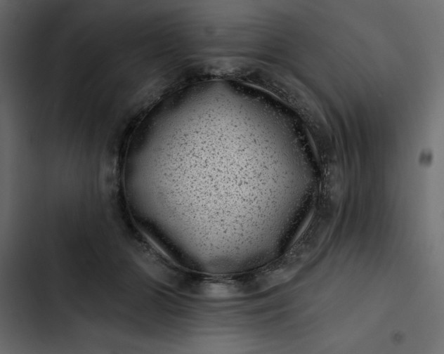 X0000102830510200809021316