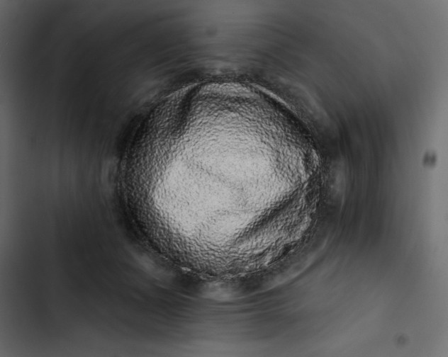 X0000102830511200809021316