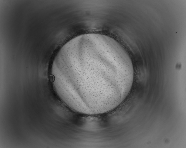 X0000102830512200809021316