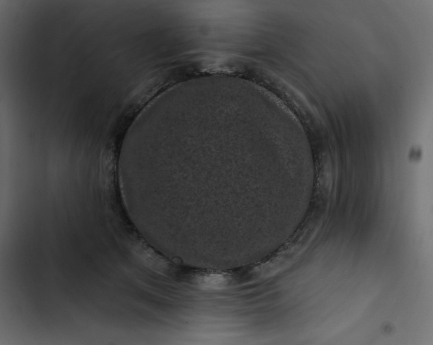 X0000102830513200809021316