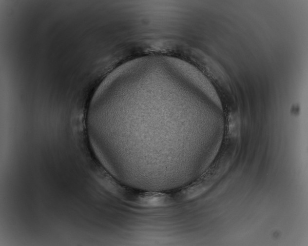 X0000102830514200809021316