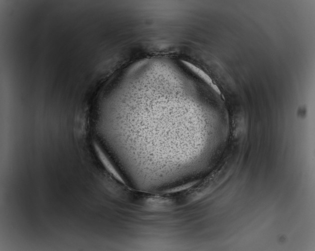 X0000102830515200809021316