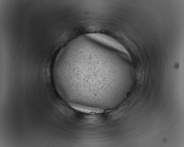 X0000102830516200809021316