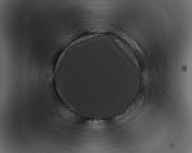 X0000102830517200809021316