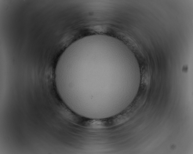 X0000102830518200809021316