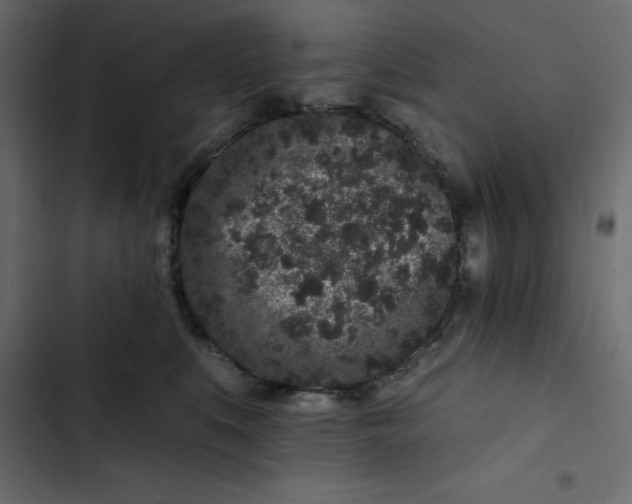 X0000102830519200809021316