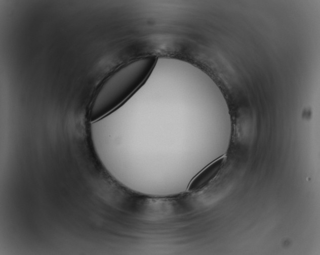 X0000102830520200809021316