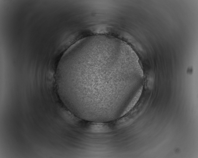 X0000102830521200809021316