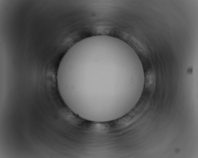 X0000102830522200809021316