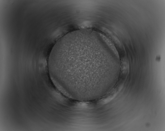 X0000102830523200809021316