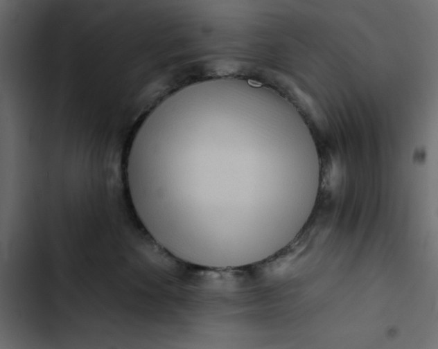 X0000102830524200809021316