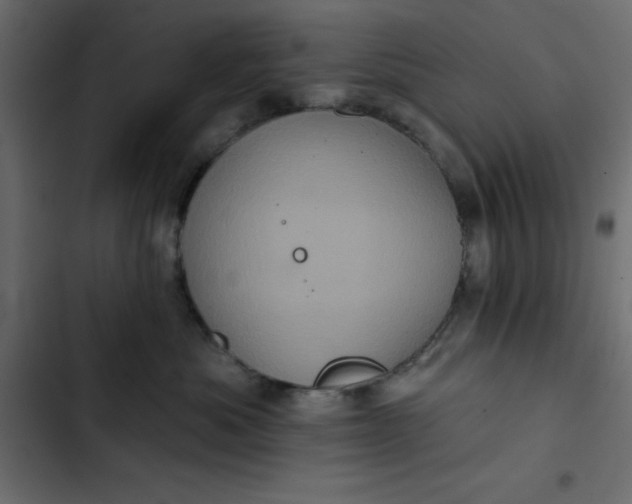 X0000102830525200809021316